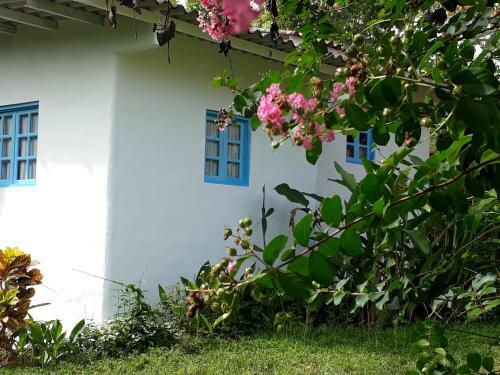 Casa Maya