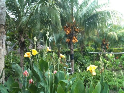 Hotel El Mirador Ecol�gico, Ometepe