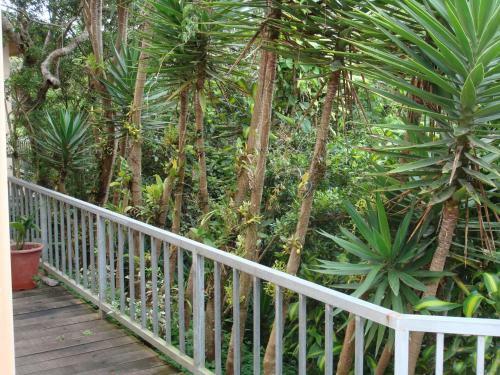 Bed & Breakfast Hotel Las Orquideas