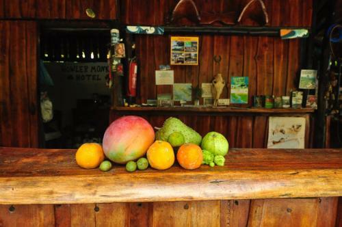Apartamento Howler Monkey Hotel