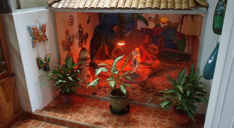 Hotel Apartments Casa Lima B&B