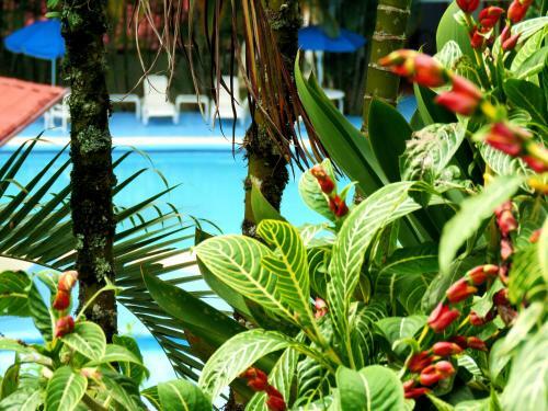 Hotel Rio Perlas