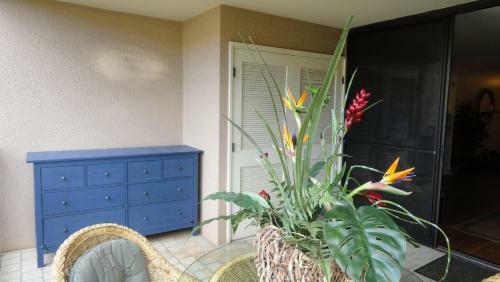 Apartamento Kamaole Sands #9-207 Condo