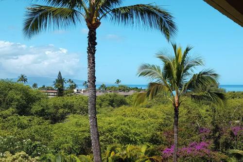 Maui Banyan Q409a & Q409
