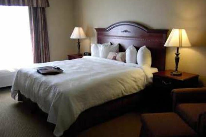 Hotel Hampton Inn & Suites Boise-meridian