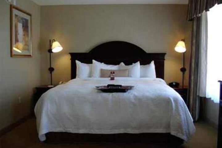 Hotel Hampton Inn & Suites Boise-meridian