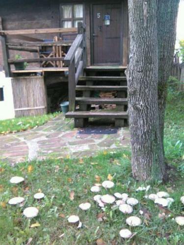 Hostal Etno Guest House Brestovi & Vizija