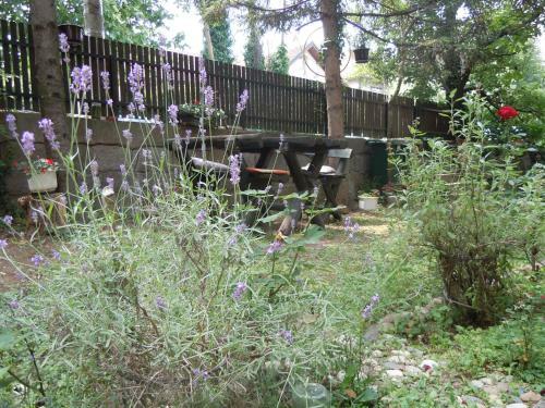 Hostal Guest House Vila Biljana