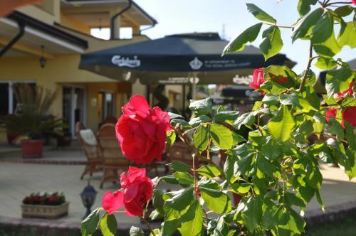 Hostal Akva Gold Guest House