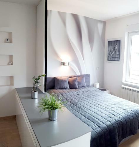 Apartment Silver Star