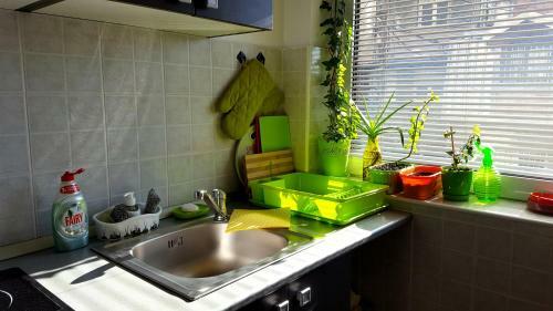 Apartment Greenfield