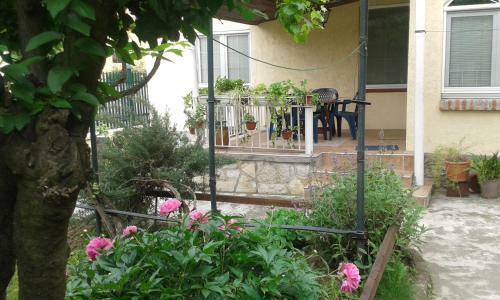 Apartamentos The House In Greenery