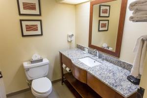 Hotel Comfort Inn Hammond