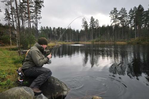 Lodge Sm�landsfiskarna