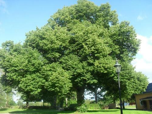 Agroturismo H�ryda G�rd