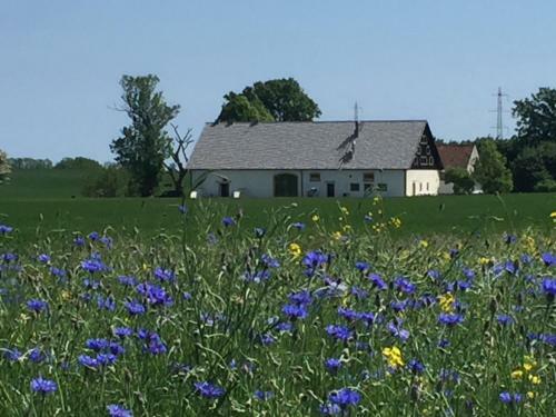 Hotelborrby