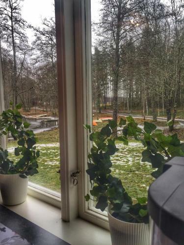 Albergue Lunedet Camping Caf� Restaurang Ab