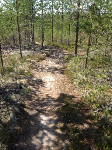 Bushcraftevents Stuga