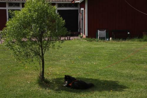 Albergue Mora Vandrarhem Och G�sthem