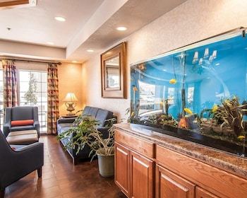 Hotel Comfort Inn & Suites Klamath Falls