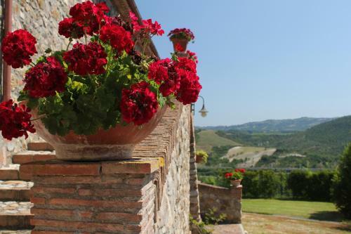 Agroturismo Casale Montemoro