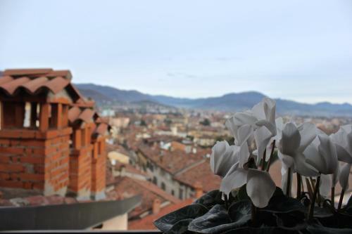 Apartamento Casa Vacanza Fontana Del Delfino