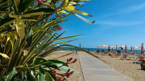 Apartamento Appartamenti C� Vio