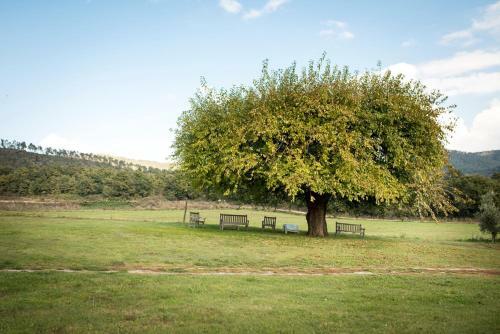 Apartamento Agriturismo Poderaccio