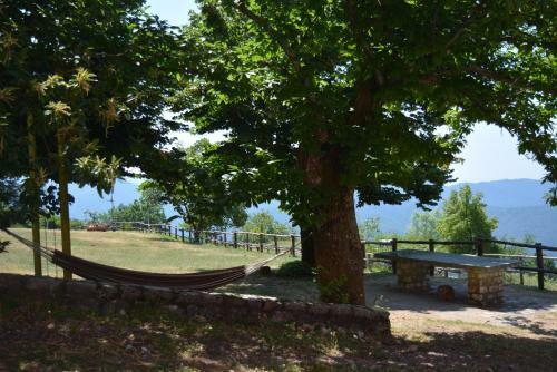 Agroturismo Agriturismo Monte Pu'