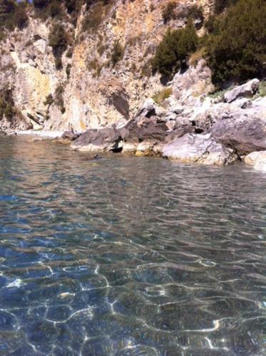 Michelebruno