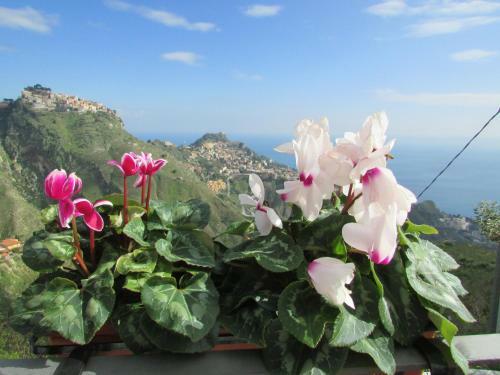 Agroturismo Casale Di Caterina