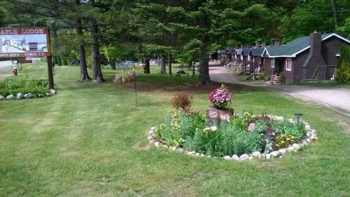 Maple Lodge Cabins