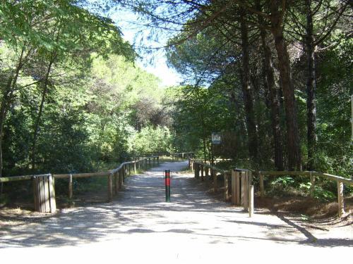Apartments In Eraclea Mare 25611