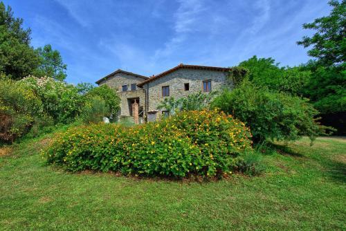 Figline Valdarno Apartment Sleeps 5 Pool Wifi