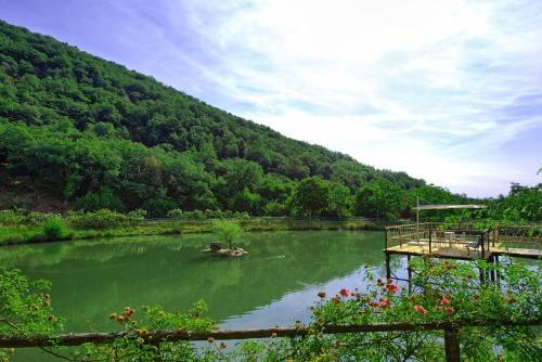 Figline Valdarno Apartment Sleeps 2