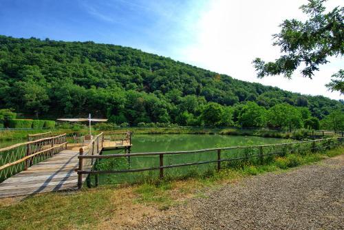Figline Valdarno Apartment Sleeps 8