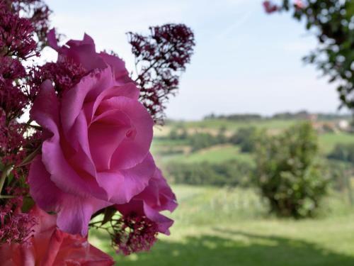 Tranquil Home In Foiano Della Chiana With Terrace
