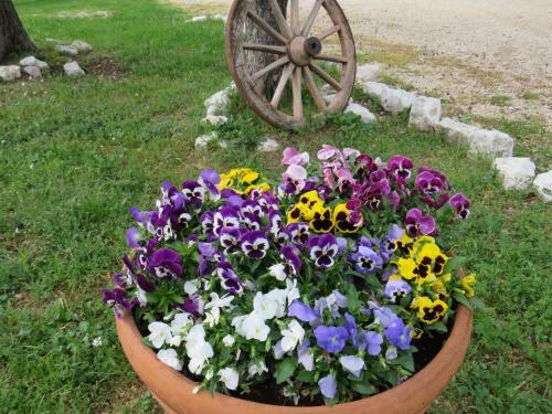Agroturismo Agriturismo San Martino