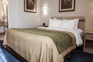 Hotel Comfort Inn Moriarty