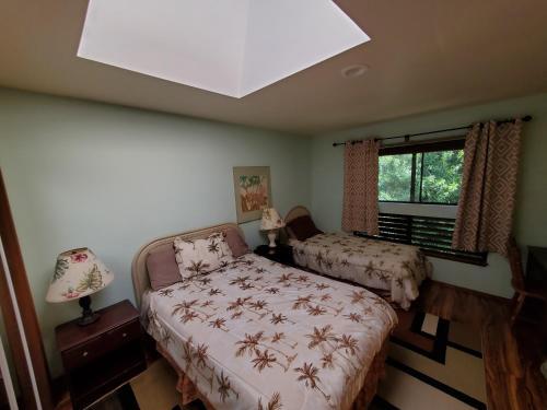 A Beautiful Edge Of The World Bed & Breakfast