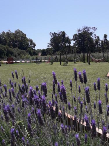 Lodge La Lucinda - Campo Y Mar