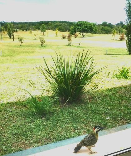 Lodge Caba�as Del Golf Puigarri