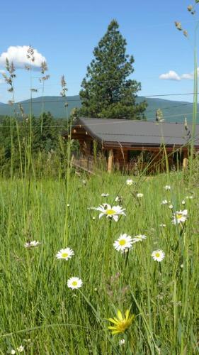 Beautiful Log Chalet Near Fernie, B.c.