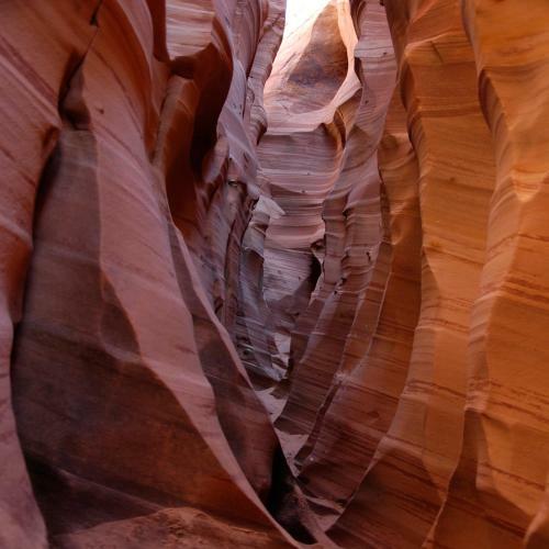 Escalante's Grand Staircase Bed And Breakfast/inn