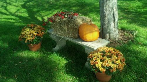 Agroturismo Lovely Green Gable Home