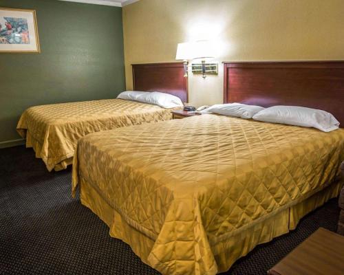 Hotel Rodeway Inn & Suites Plymouth
