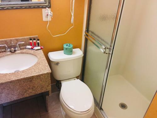 Motel Red Carpet Inn Bayshore