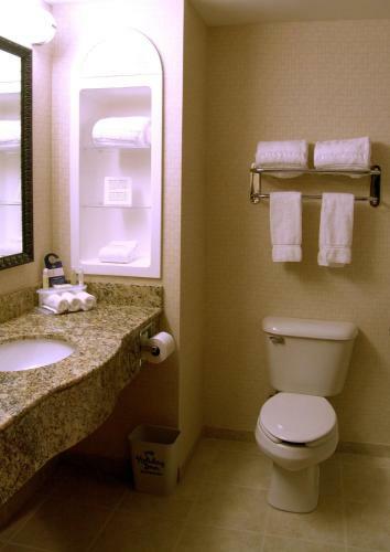 Holiday Inn Express Hotel & Suites Rochester