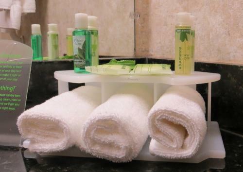Holiday Inn Express Hotel & Suites Lansing-dimondale