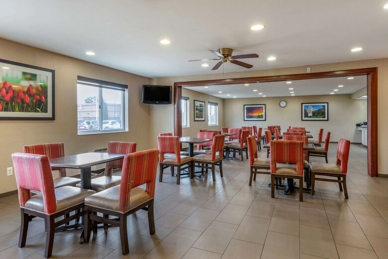 Hotel Comfort Inn & Suites Dimondale